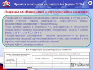 Порядок заполнения формы РСВ-1