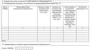 Расчет основного вида деятельности в ФСС