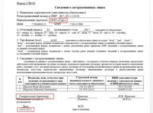 Как сдать отчет СЗВ-М если у учредителя нет СНИЛС