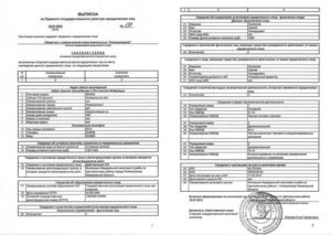 Коды ОКВЭД в Выписке из Единого государственного реестра