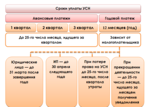 Сроки уплаты ИП «упрощенного» налога в 2016 году