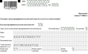 Обязательны ли для заполнения сведения о месте осуществления предпринимательской деятельности