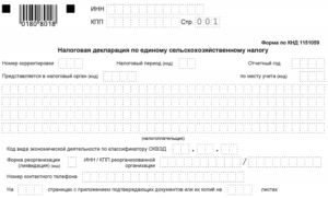 Справка к налоговой декларации по ЕСХН