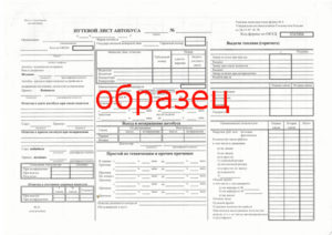 Путевой лист для организации на УСН
