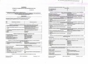Коды ОКВЭД в Выписке из Единого государственного реестра