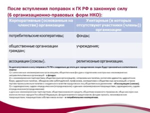 Правомерны ли беспроцентные займы сотрудникам некоммерческой организации?