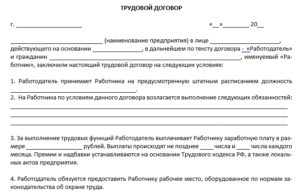 Образец трудового договора с работником 2016 год РФ