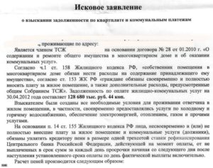 Как ТСЖ учесть коммунальные платежи, пени, госпошлину и судебные расходы, которые оно взыскивает с собственника по решению суда?
