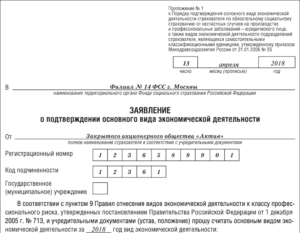 Расчет основного вида деятельности в ФСС
