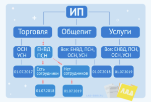 Организация общественного питания применение кассового аппарата при ЕНВД