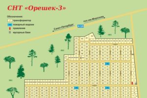 Как создать садоводческое некоммерческое товарищество
