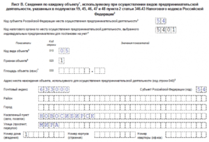 Обязательны ли для заполнения сведения о месте осуществления предпринимательской деятельности