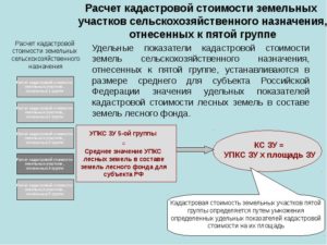 Как быть, если мы не согласны с новым расчетом кадастровой стоимости