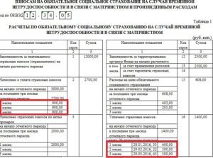 Заполнение таблицы 10 раздела II формы 4-ФСС