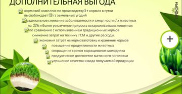 Дополнительная выгода Дополнительная выгода