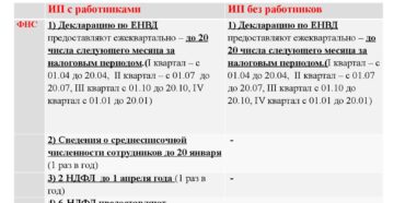 Отчетность ИП на ЕНВД в 2019 году