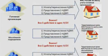Отчетность головной организации и обособленных подразделений