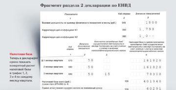 Какой код по месту учета следует указывать в декларации по ЕНВД