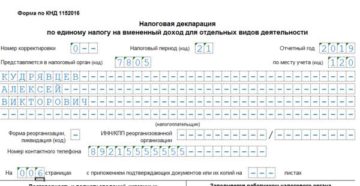 Как заполнить поле «КПП» в декларации по ЕНВД
