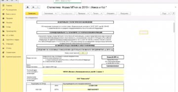 Статистическая отчетность для ИП за 2015 год