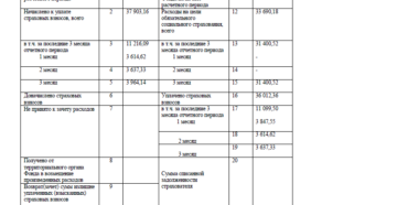 Справка-расчет для возмещения пособия из ФСС в 2019 году (бланк, образец, инструкция)