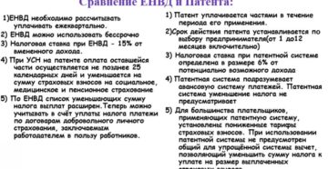 Министр доложил Путину об освобождении ИП от долгов по УСН, ЕНВД и патенту