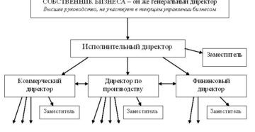 Может ли в организации быть директор и исполнительный директор