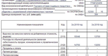 КНД 0710096: упрощенная бухгалтерская отчетность