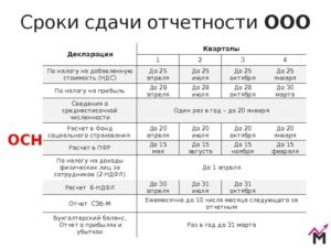 Сроки сдачи бухгалтерской и налоговой отчетности