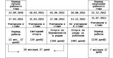 Период работы за который положен отпуск Период работы за который положен отпуск