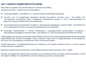 Рискует ли компания, если ее бизнес не совпадает с заявленными кодами ОКВЭД