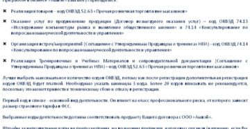 Рискует ли компания, если ее бизнес не совпадает с заявленными кодами ОКВЭД