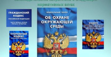 Нарушение природоохранного законодательства и штрафы