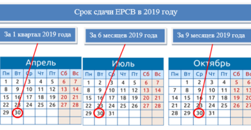 Все сроки сдачи расчета по страховым взносам РСВ в 2019 году