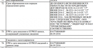 Срок внесения сведений в ЕГРЮЛ Срок внесения сведений в ЕГРЮЛ