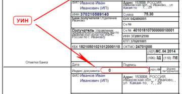 Какой УИН указывать в платежном поручении?