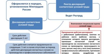 Декларация по итогам специальной оценки условий труда Декларация по итогам специальной оценки условий труда