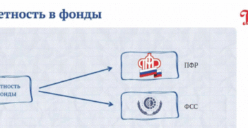 Отчетность в ПФР и ФСС при реорганизации Отчетность в ПФР и ФСС при реорганизации