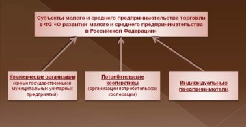Субъекты малого предпринимательства Субъекты малого предпринимательства