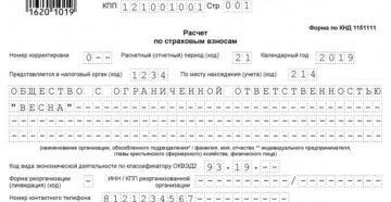 Нулевой расчет по страховым взносам в 2019 году (пример заполнения)