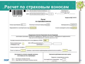 Составление и сдача расчета по страховым взносам в ИФНС