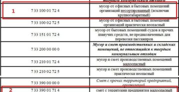 Какой код ФККО можно использовать в случае вывоза мусора от бытовых помещений