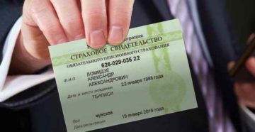 Как узнать номер СНИЛС в 2019 году