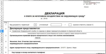 Декларация о плате за негативное воздействие на окружающую среду в 2019 году