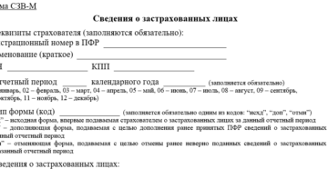 СЗВ-М ИП без работников