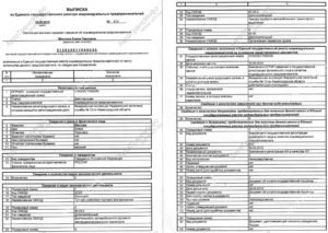 Коды ОКВЭД в Выписке из Единого государственного реестра