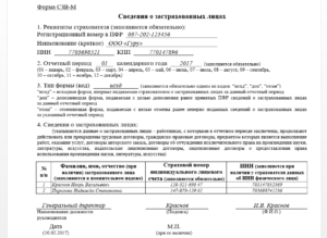 Как сдать отчет СЗВ-М если у учредителя нет СНИЛС