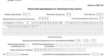 Сдача декларации по транспортному налогу