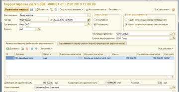Оплата долга за организацию физическим лицом Оплата долга за организацию физическим лицом