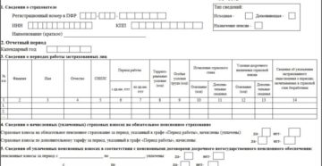 Сроки сдачи СЗВ-СТАЖ в 2019 году